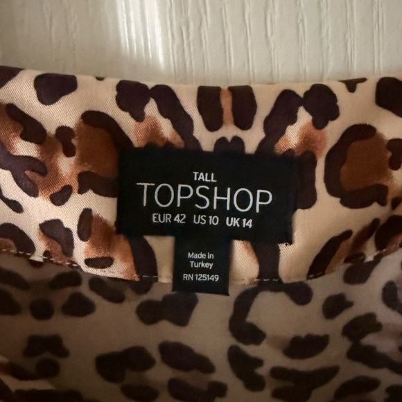 Topshop Satin Leopard Dress - Picture 5 of 7